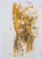 Always Transparant | acrylic and ink on paper| 80 x 105 cm | 2014