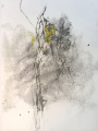 Falling in Love With Yellow| acrylic and ink on paper| 80 x 105 cm | 2013