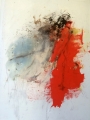 Red Shadow | acrylic and ink on paper| 80 x 105 cm | 2014