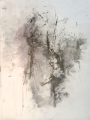Rituals, Rituals | acrylic and ink on paper| 80 x 105 cm | 2013